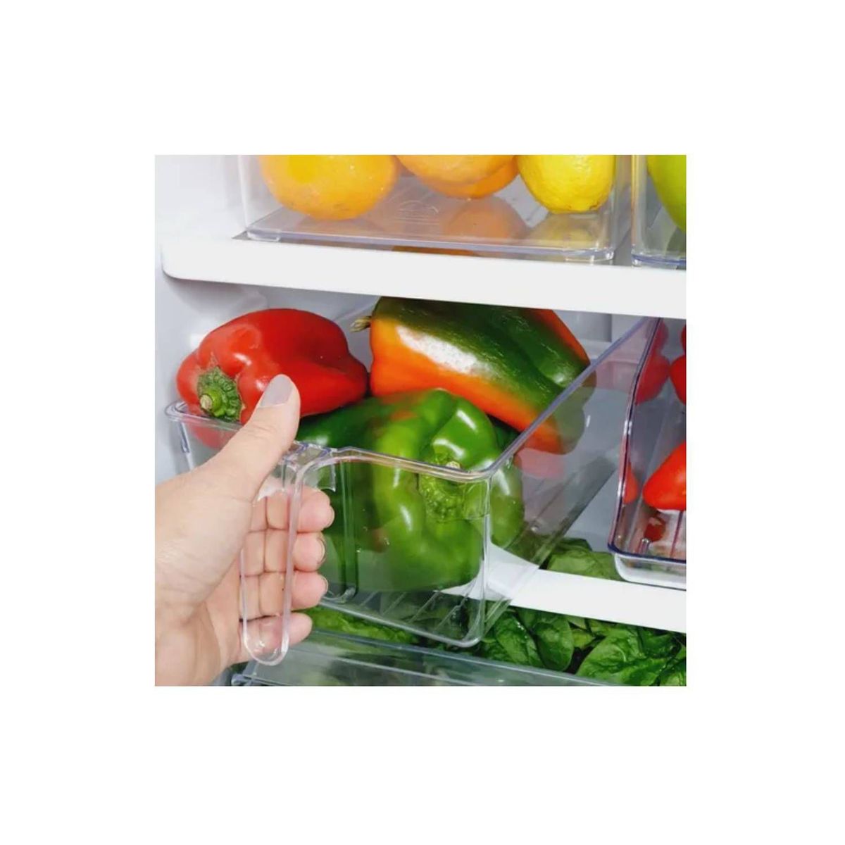 GENERICO - Organizador acrilico con asa