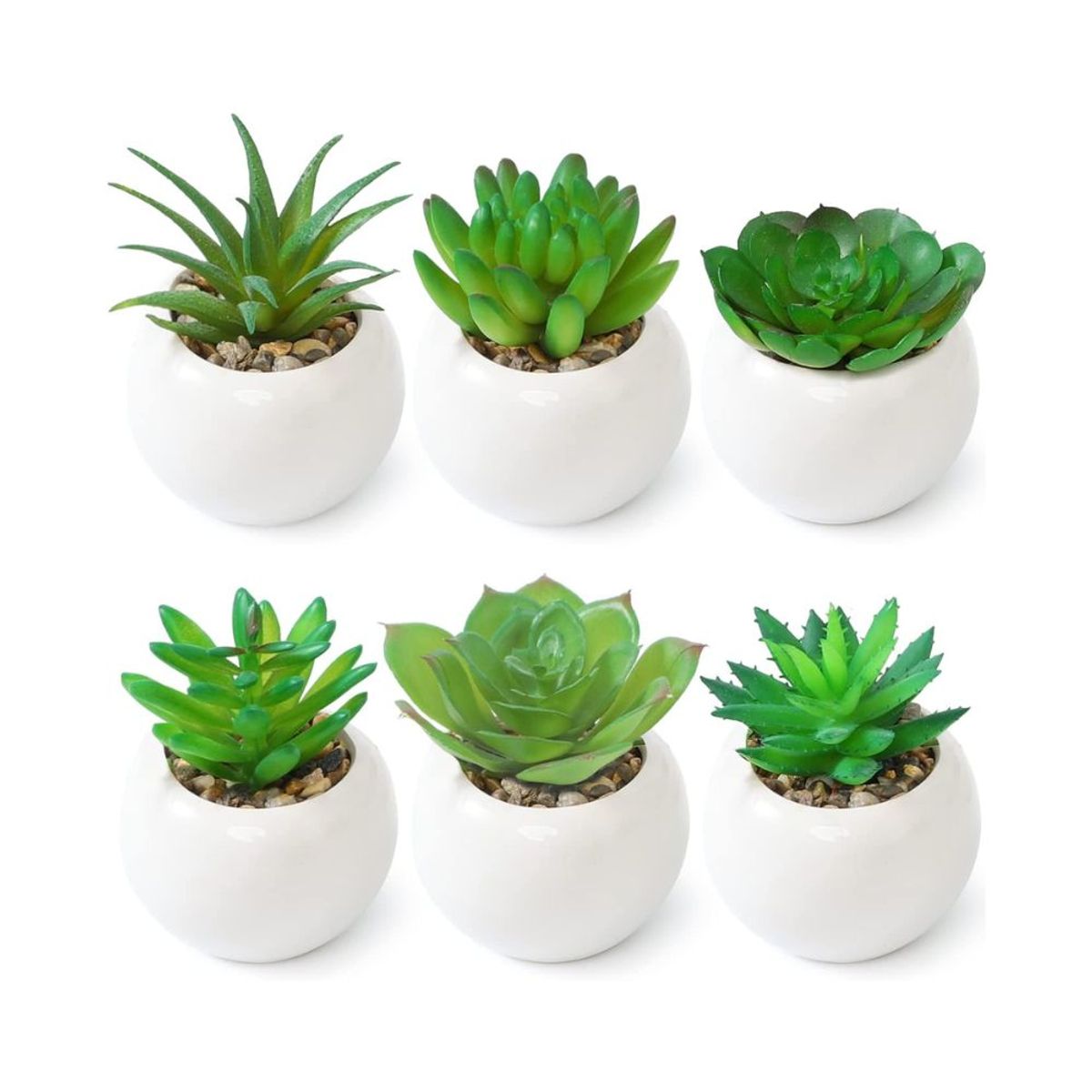 INSPIRA - Set de 2 Plantas Decorativas Suculentas con Base Redonda