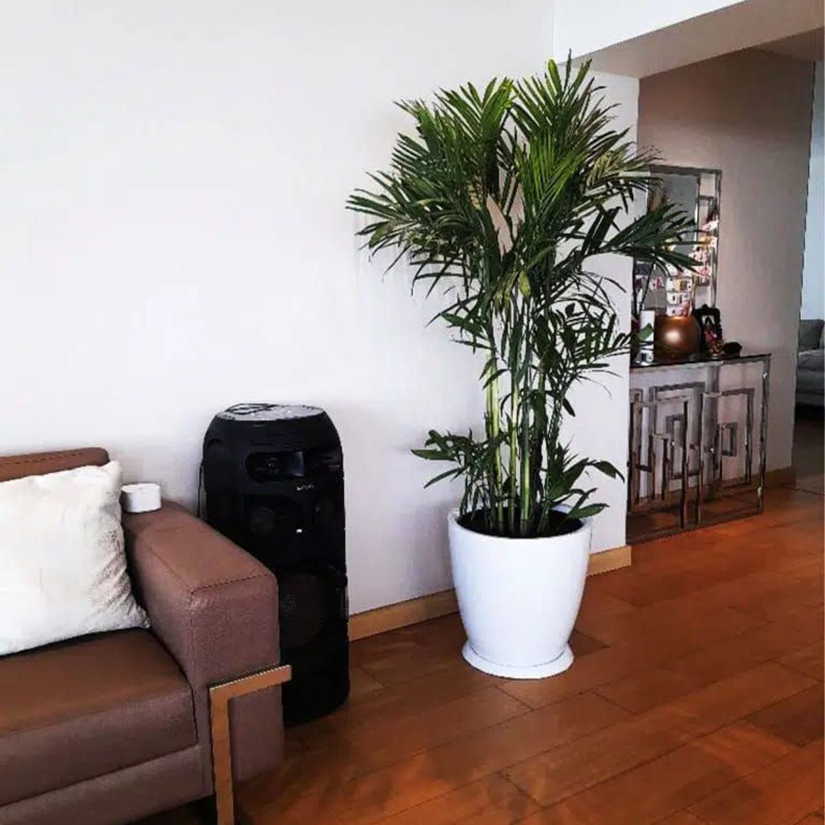 GENERICO - PALMERA BAMBU EN MACETA HUEVO BLANCO