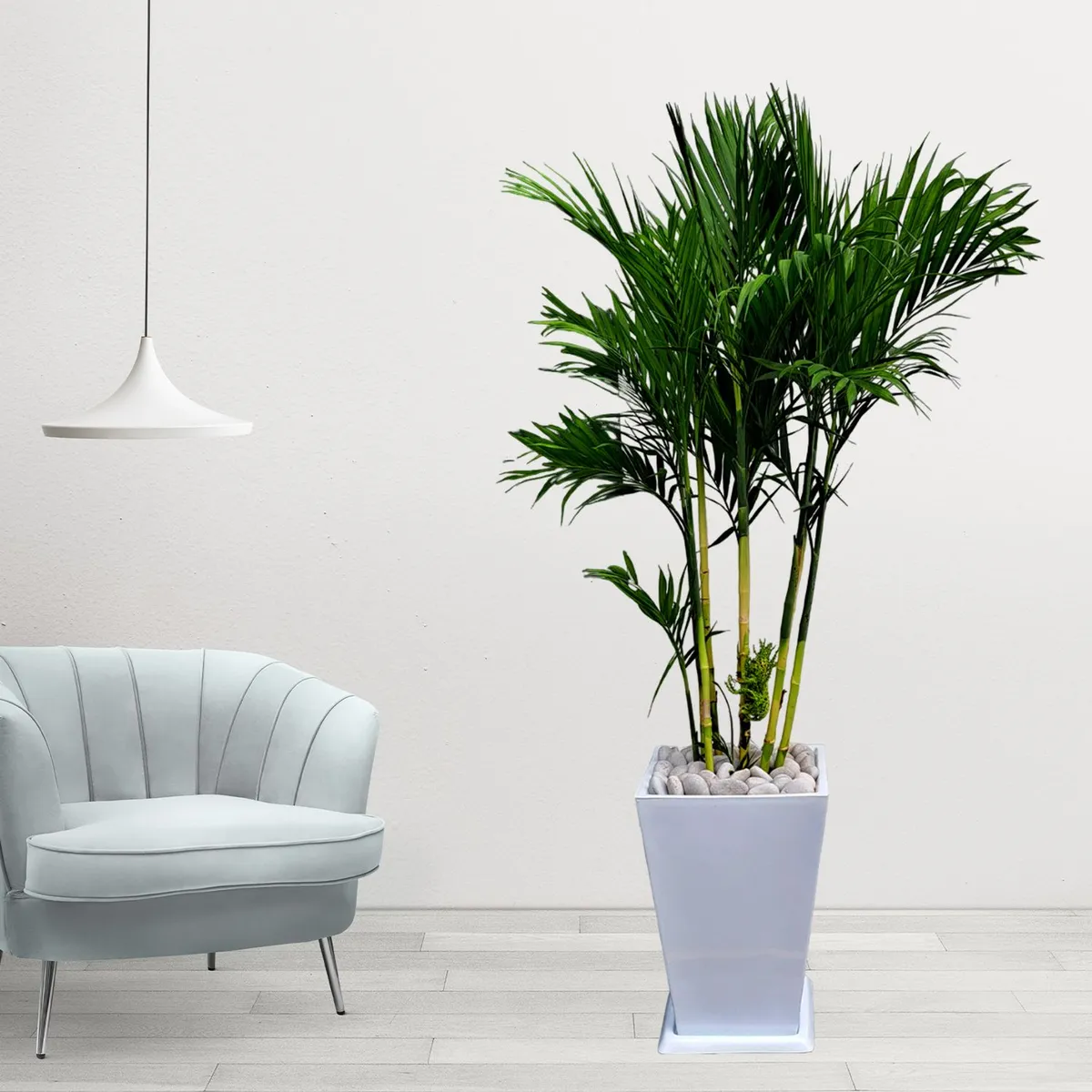 GENERICO - PALMERA BAMBU EN MACETA PIRAMIDE BLANCO