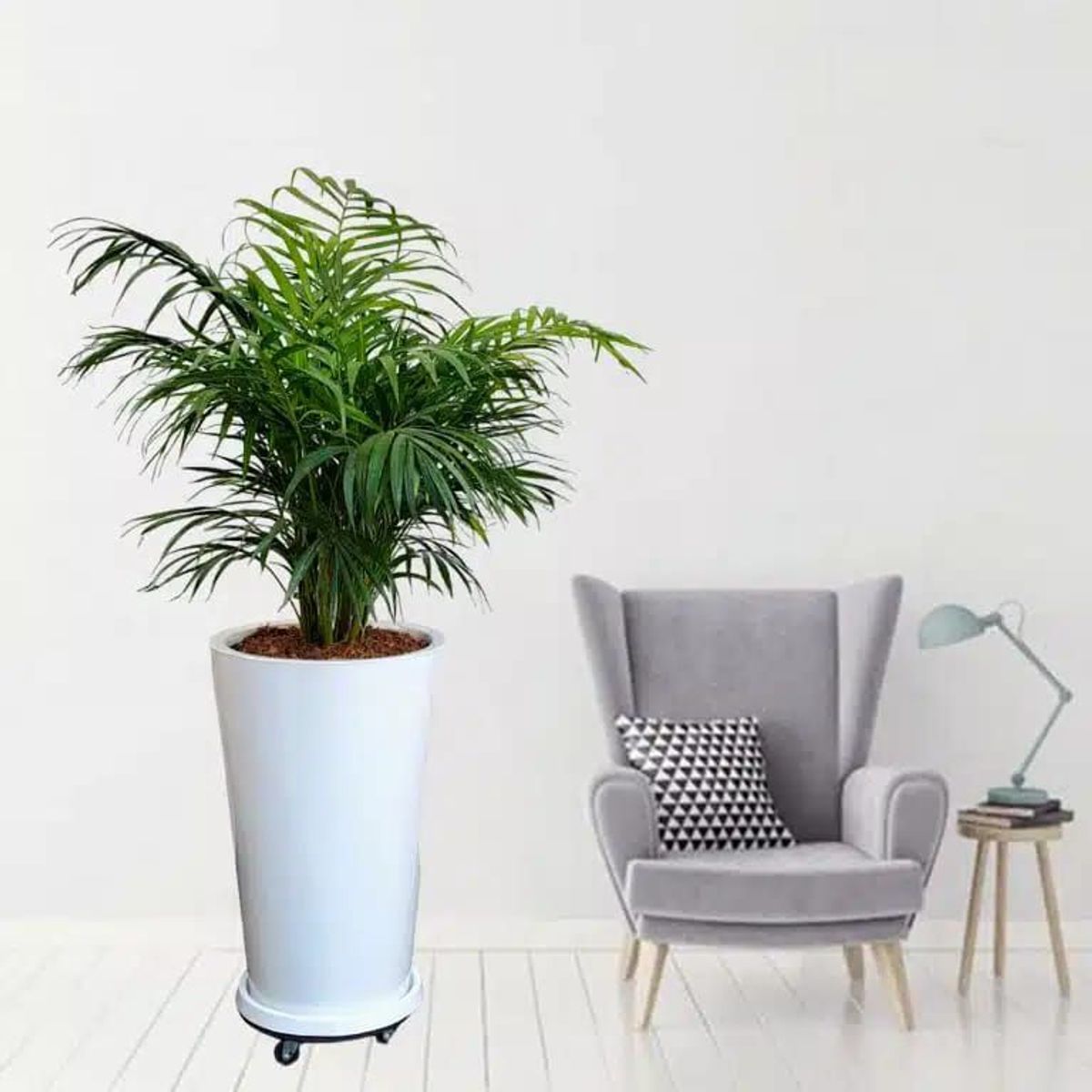 GENERICO - PALMERA HAWAIANA EN MACETA CONO Y RUEDAS