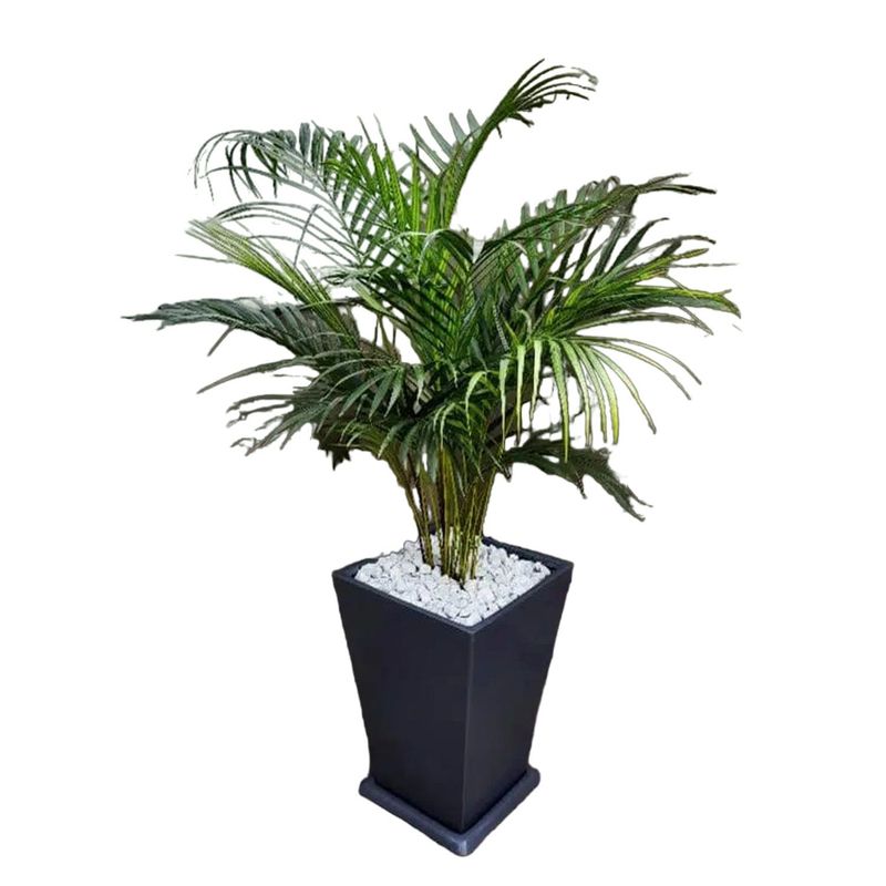 GENERICO - PALMERA HAWAIANA EN MACETA PIRAMIDE GRIS