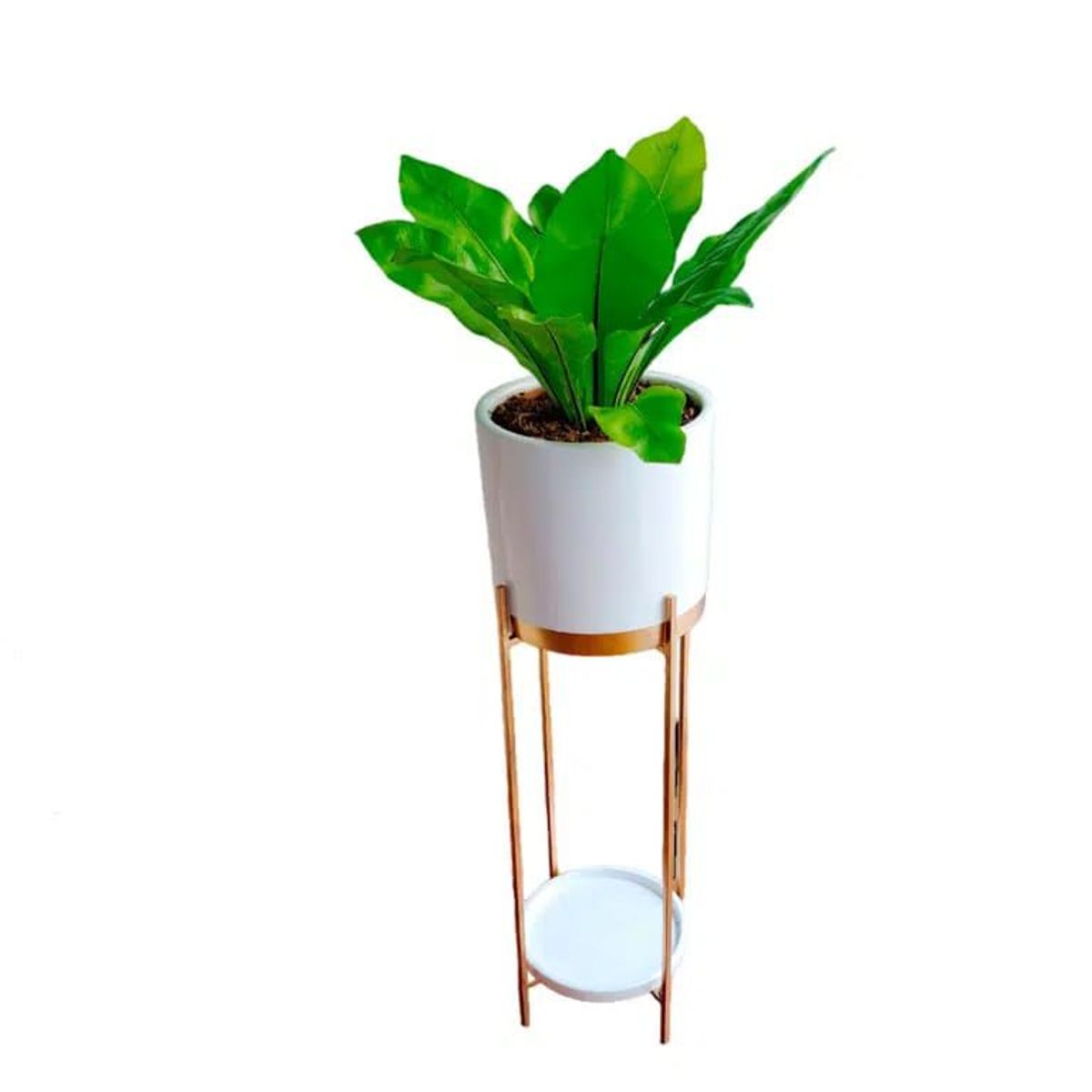 GENERICO - HELECHO ALEMAN EN MACETA BLANCA Y PEDESTAL DE FIERRO