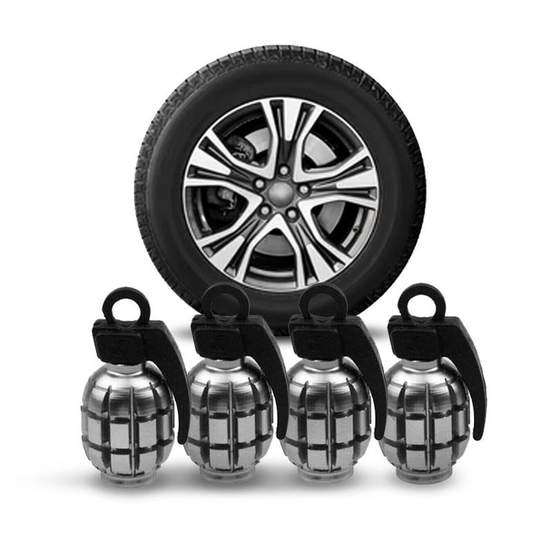 OREGON - Juego Tapa Metalizada Granada Plateado x 4 Pitón de Llanta