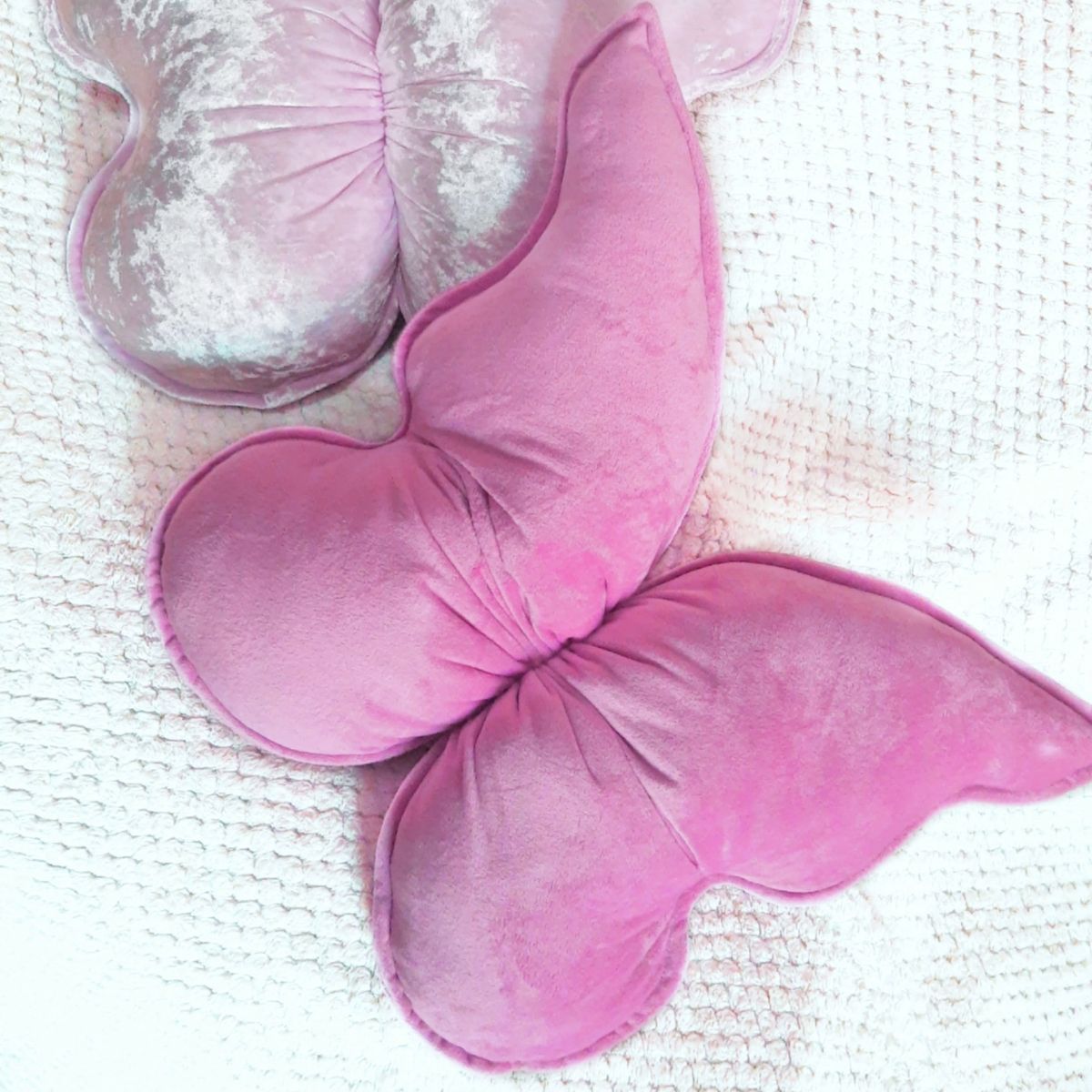 GENERICO - Cojín Mariposa de Terciopelo