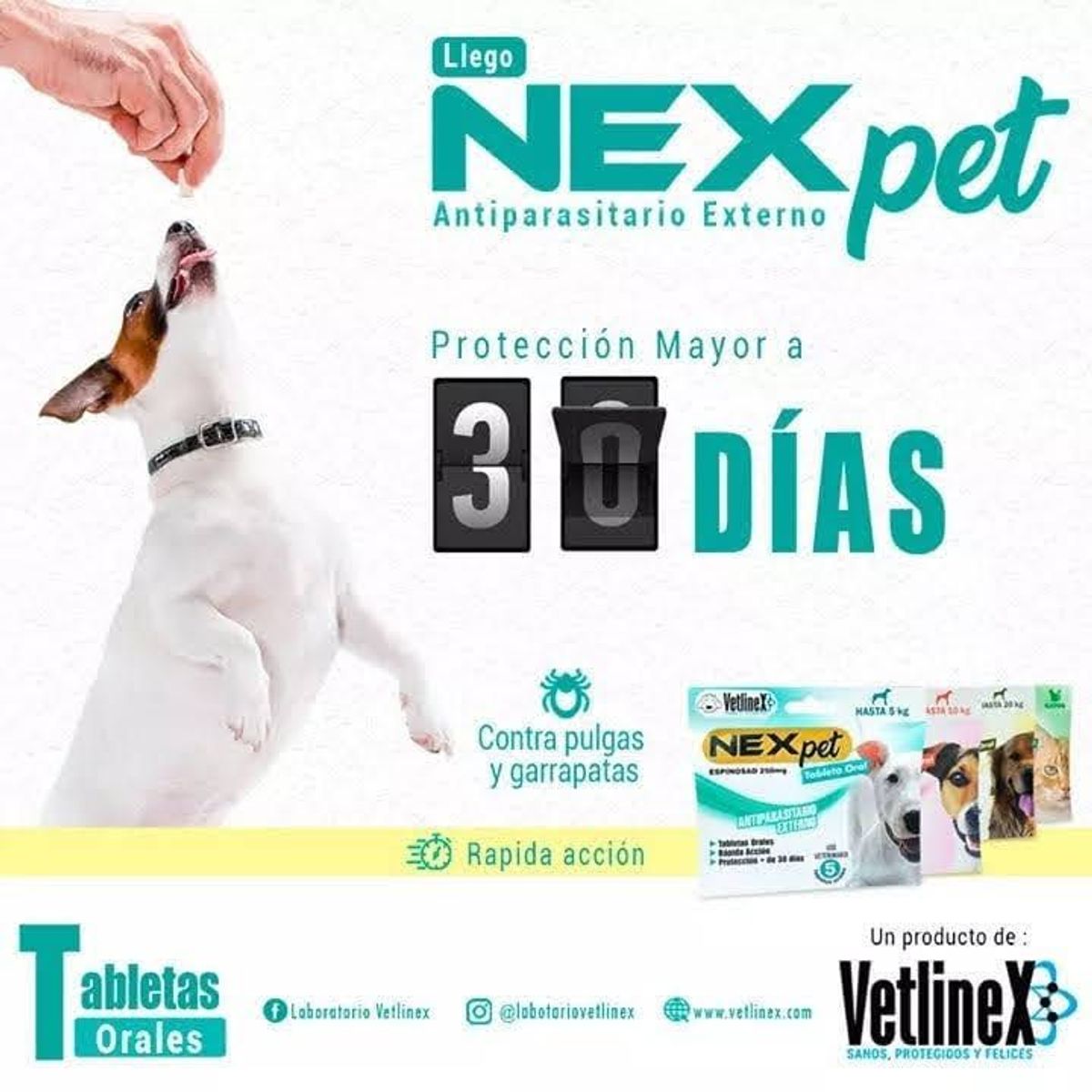 VETLINEX - ANTIPULGAS NEXPET 05 KG X 1 TABLETA.