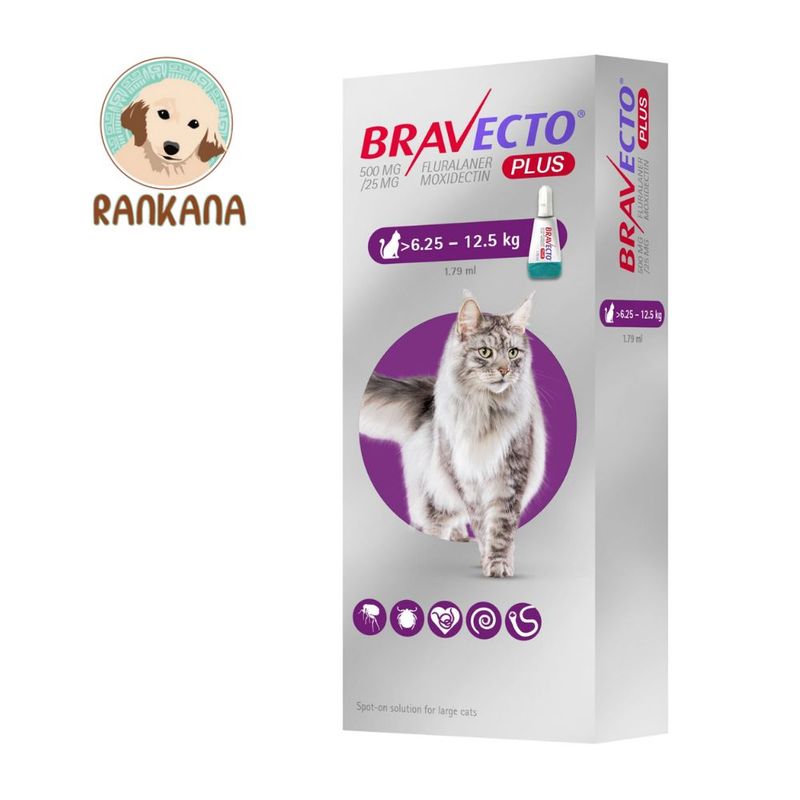BRAVECTO - Antipulgas Bravecto Plus para GATOS de 6.25 a 12.5 kg