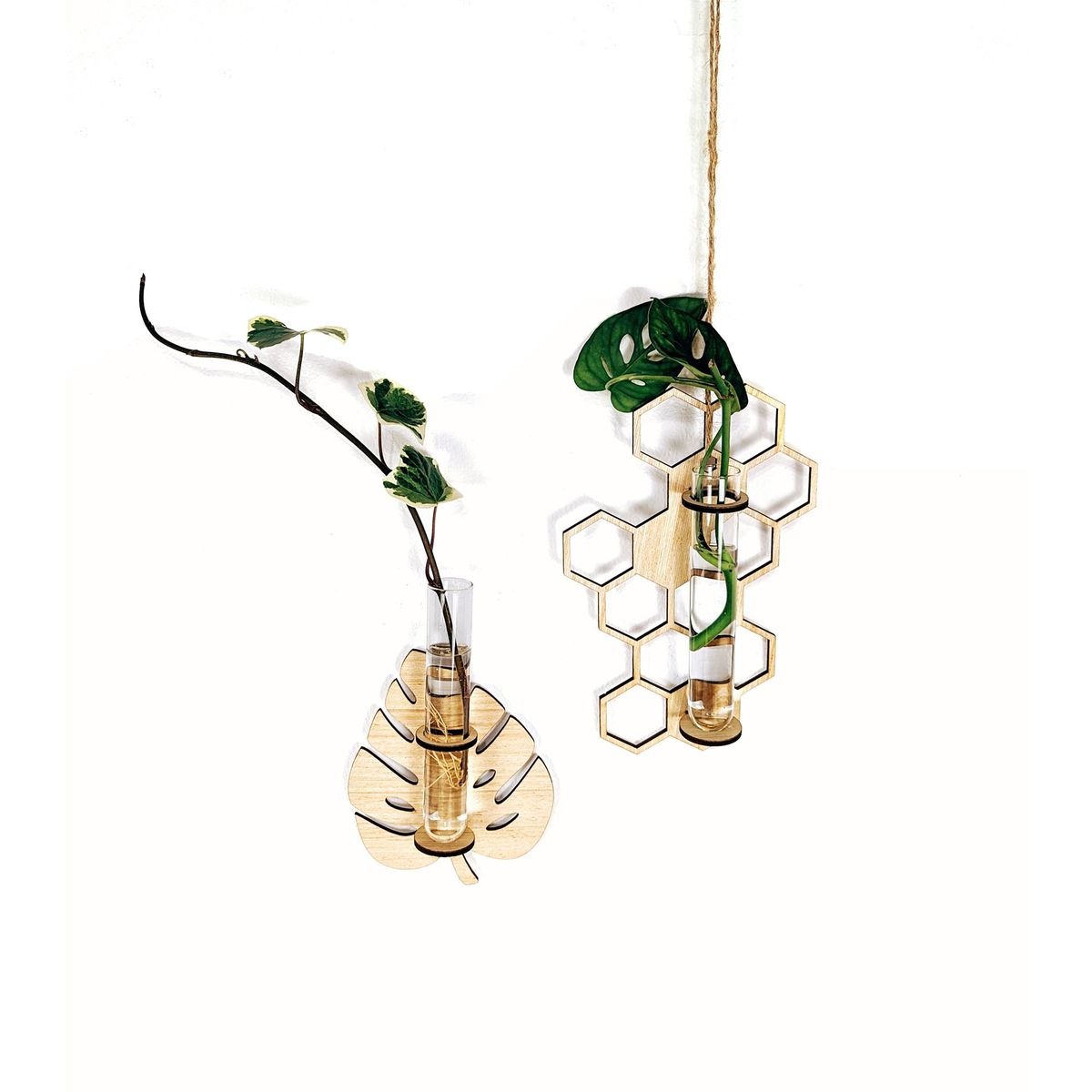 UN CUARTO VERDE - Propagadores colgantes de plantas UN CUARTO VERDE