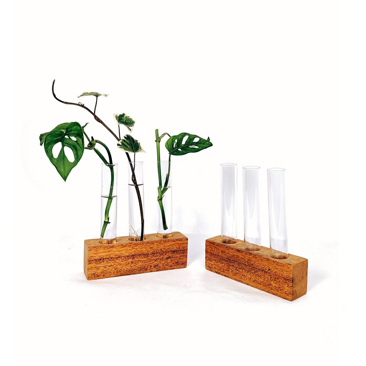 UN CUARTO VERDE - Propagador Triple de madera para plantas UN CUARTO VERDE