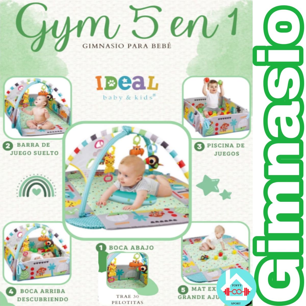 IDEAL - Gimnasio Musical 5 en 1 multifunción G Y M