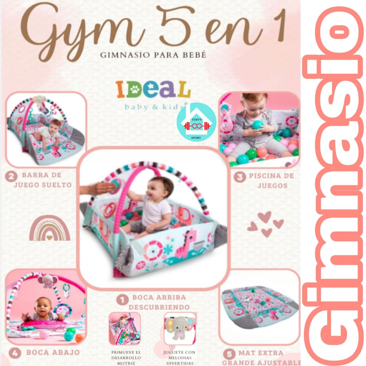 IDEAL - Gimnasio Musical 5 en 1 multifunción G Y M R