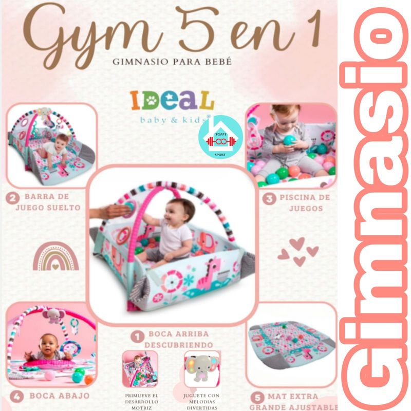 IDEAL - Gimnasio Musical 5 en 1 multifunción G Y M R