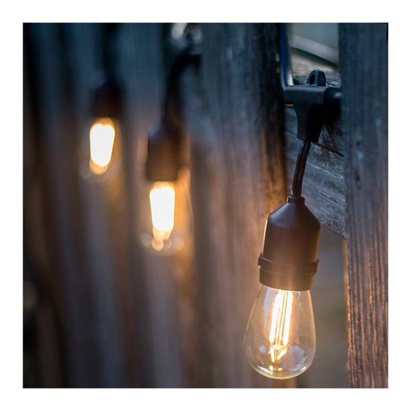 GENERICO - Luces Guirnaldas Vintage 20 Focos Por 10 Metro. Oferta
