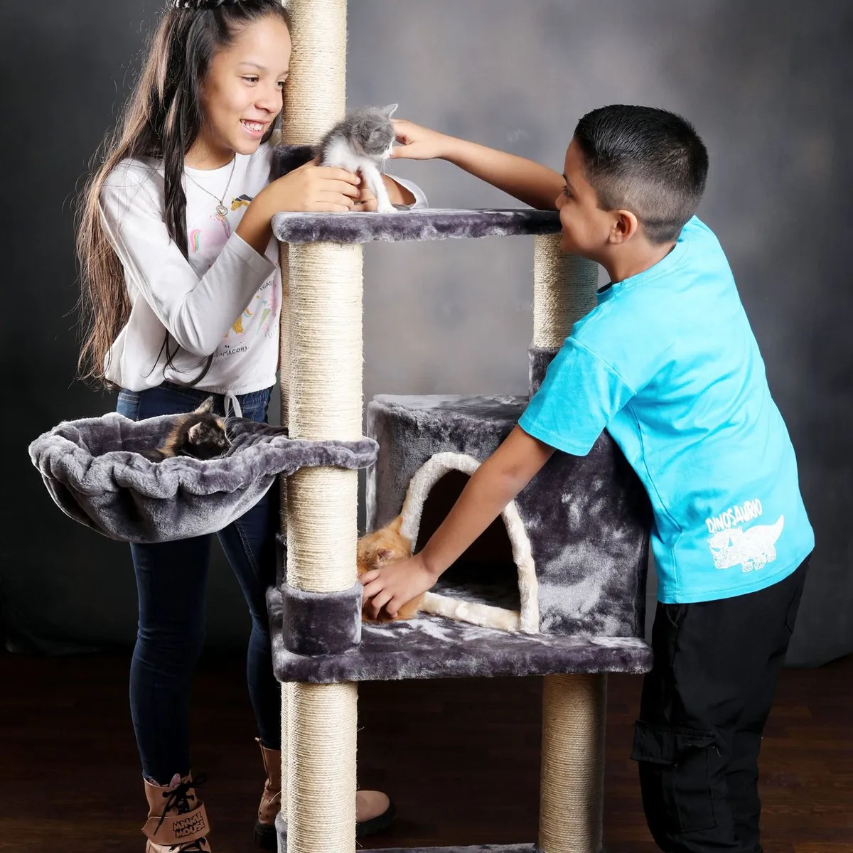 DISCOVERY PETS - Rascador Siberia Plomo Rata