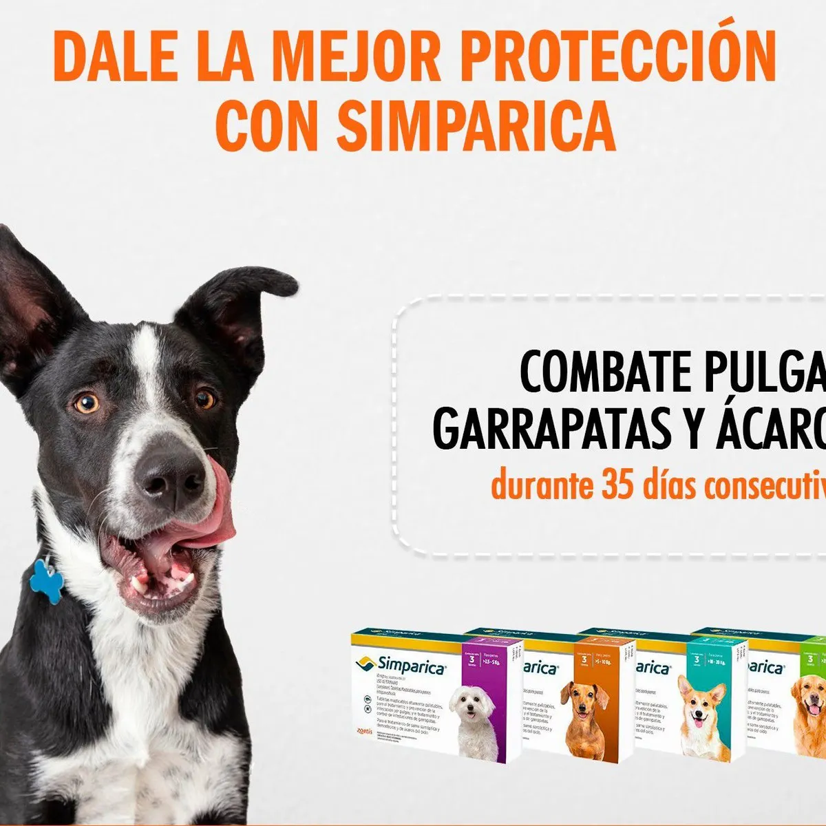 SIMPARICA - Antipulgas Para Perro Simparica 10 a 20 kg caja 3 unidades