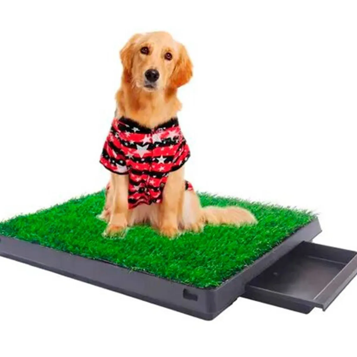 GENERICO - Baño Ecologico Portatil con Cesped para Perros Grande