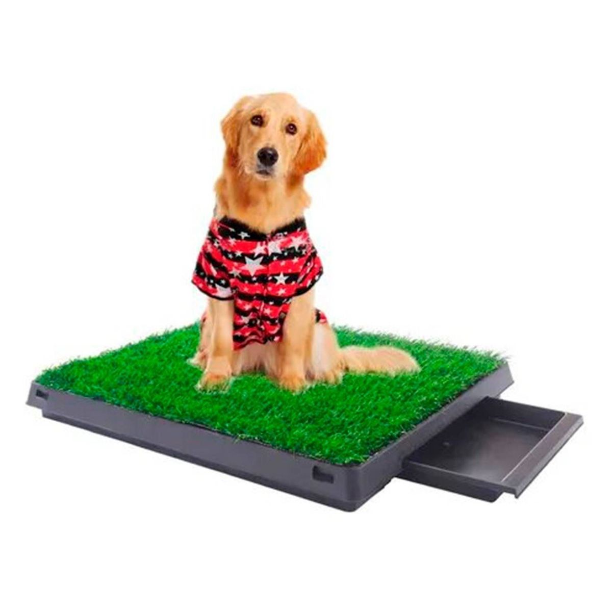 GENERICO - Baño Ecologico Portatil con Cesped para Perros Grande