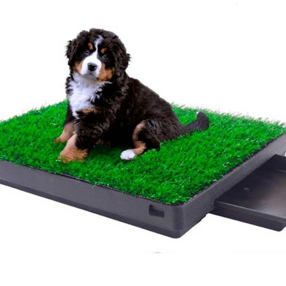 GENERICO - Baño Ecologico Portatil con Cesped para Perros Grande