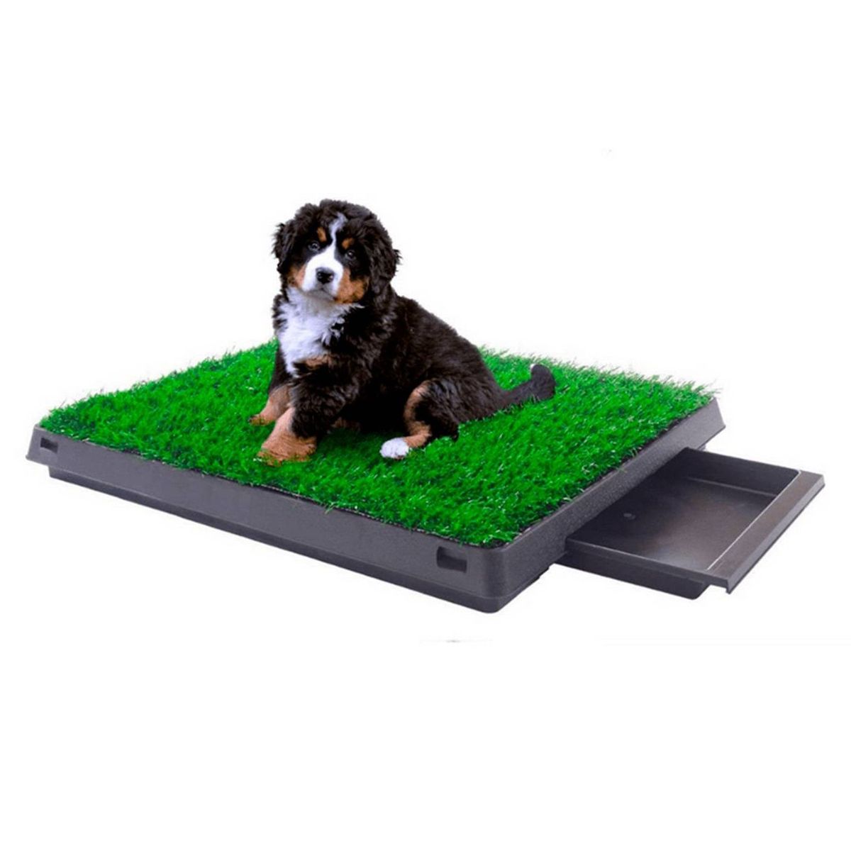 GENERICO - Baño Ecologico Portatil con Cesped para Perros Grande