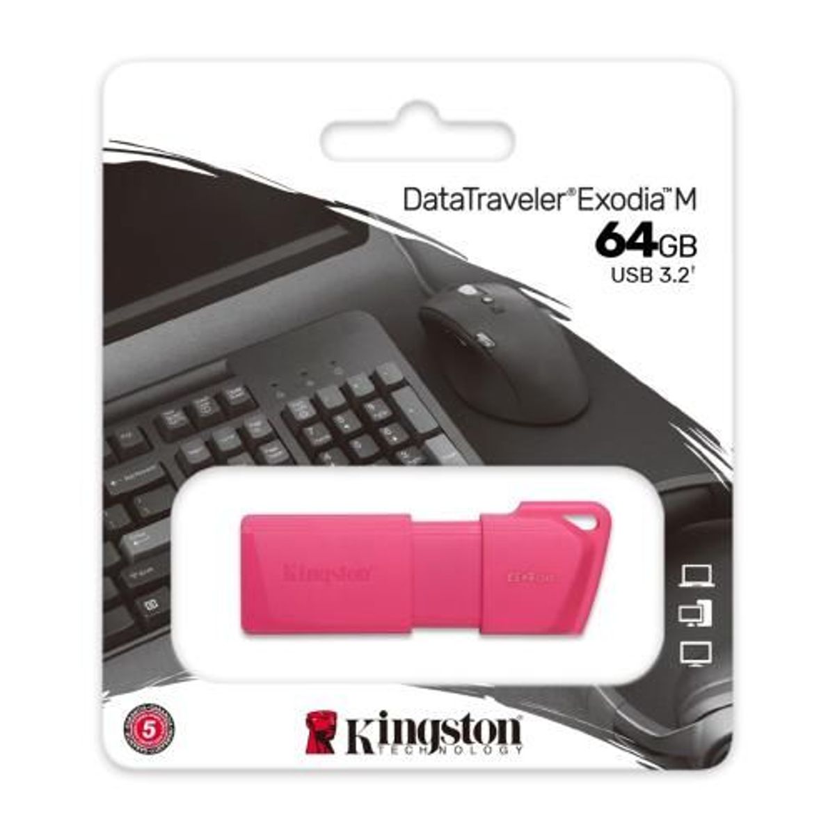 KINGSTON - MEMORIA USB 3.2 KINGSTON EXODIA M DE 64 GB ROSADO