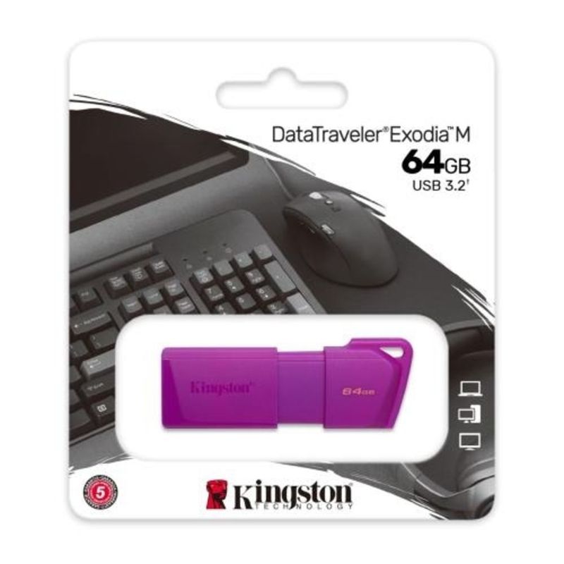 KINGSTON - MEMORIA USB 3.2 KINGSTON EXODIA M DE 64 GB MORADO
