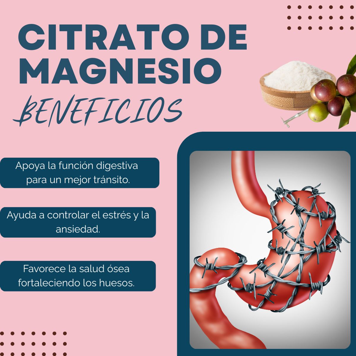 DINOA - Citrato de Magnesio Pote de 300gr Dinoa - Energía- Relajación Muscular