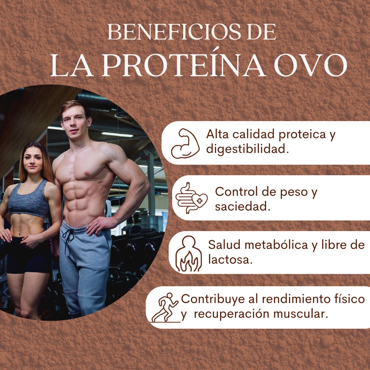 DINOA - Dinoa Ovo Clara de Huevo Chocolate 500gr -Proteína -Baja en Calorías