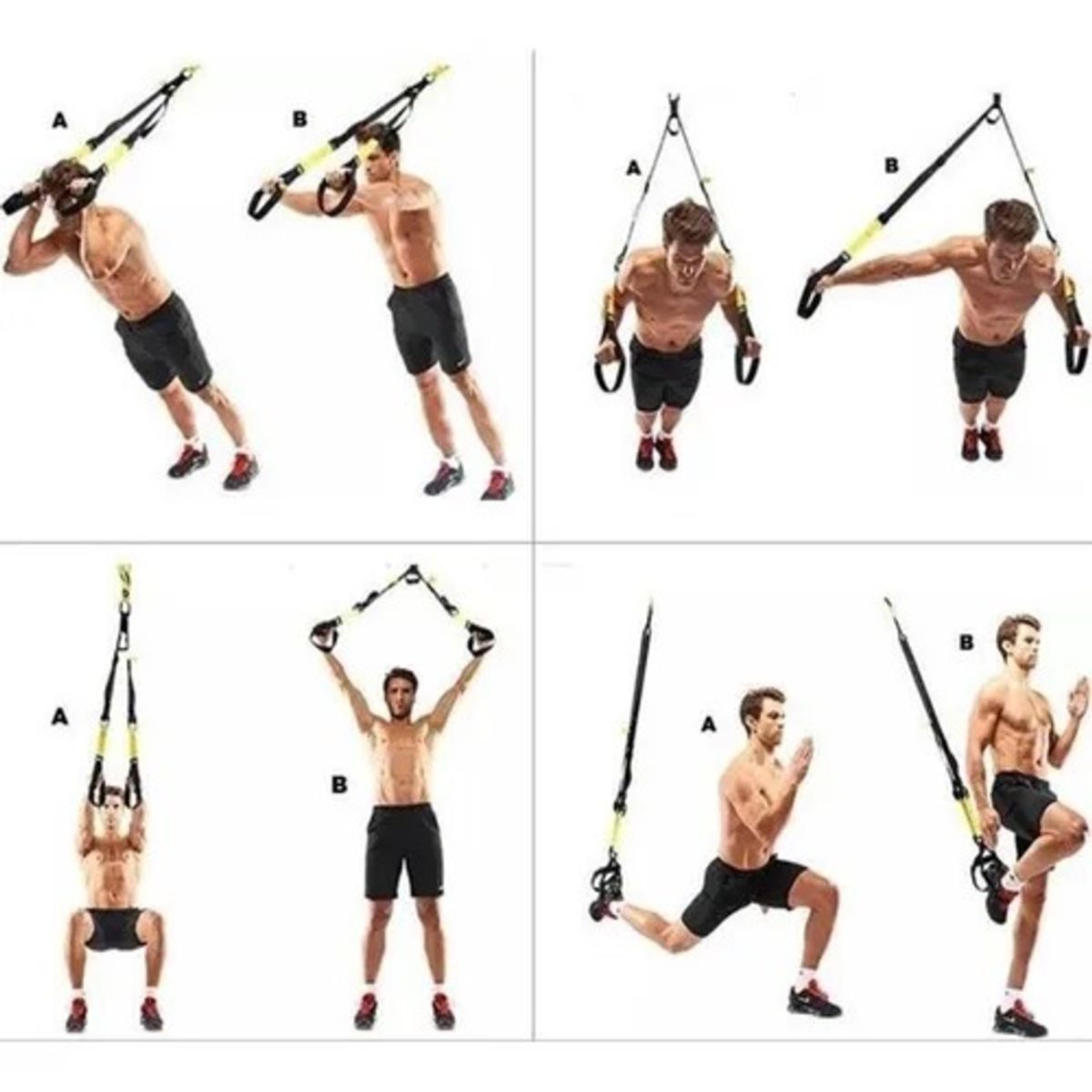 ALPHA GYM - Bandas de suspensión TRX LIVE UP sistema de entrenamiento