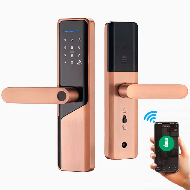 OEM - Cerradura Inteligente Smart Chapa Biometrica Digital Wifi Dorado X12