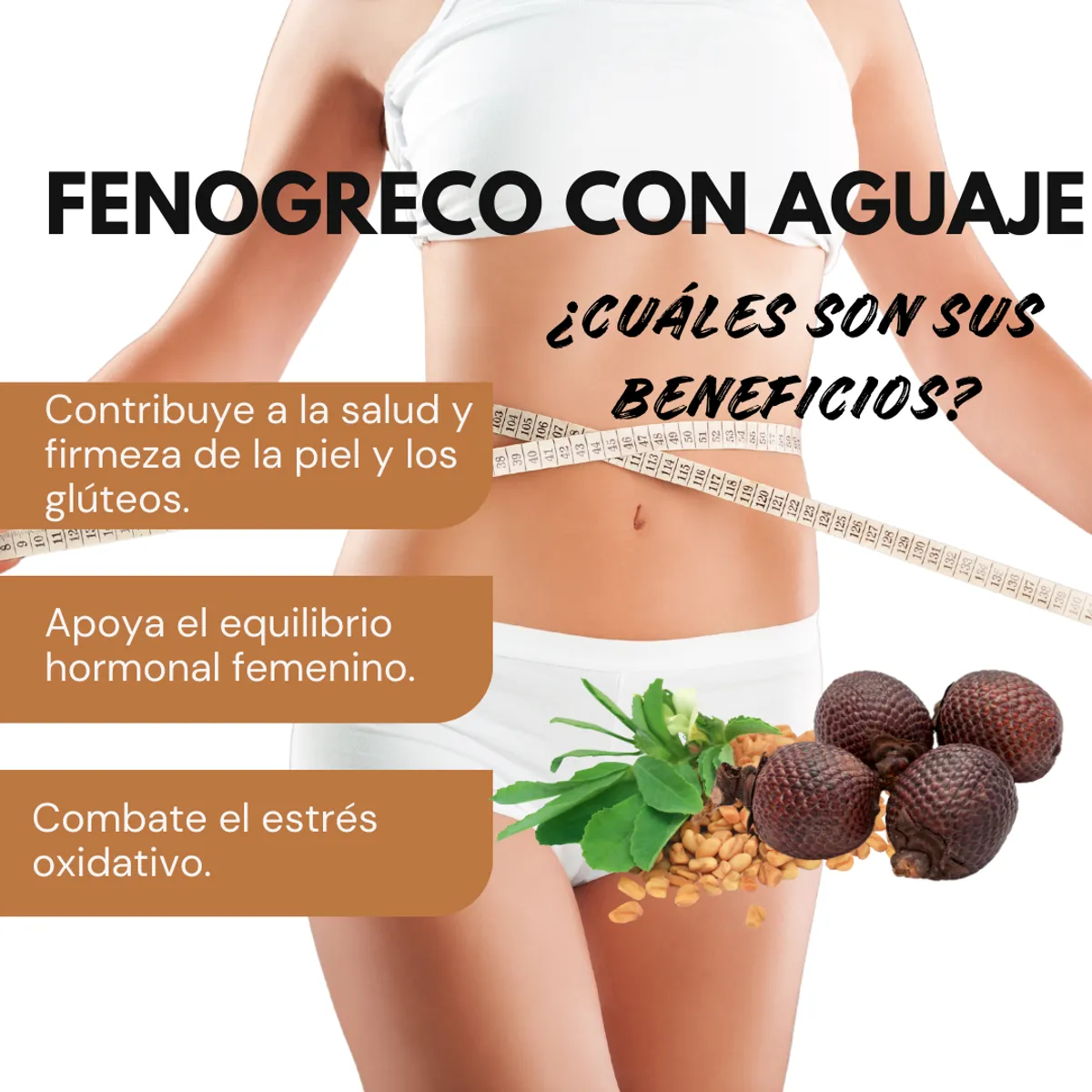 DINOA - Fenogreco Pote de 80gr Dinoa - Equilibrio hormonal - Feminidad natural