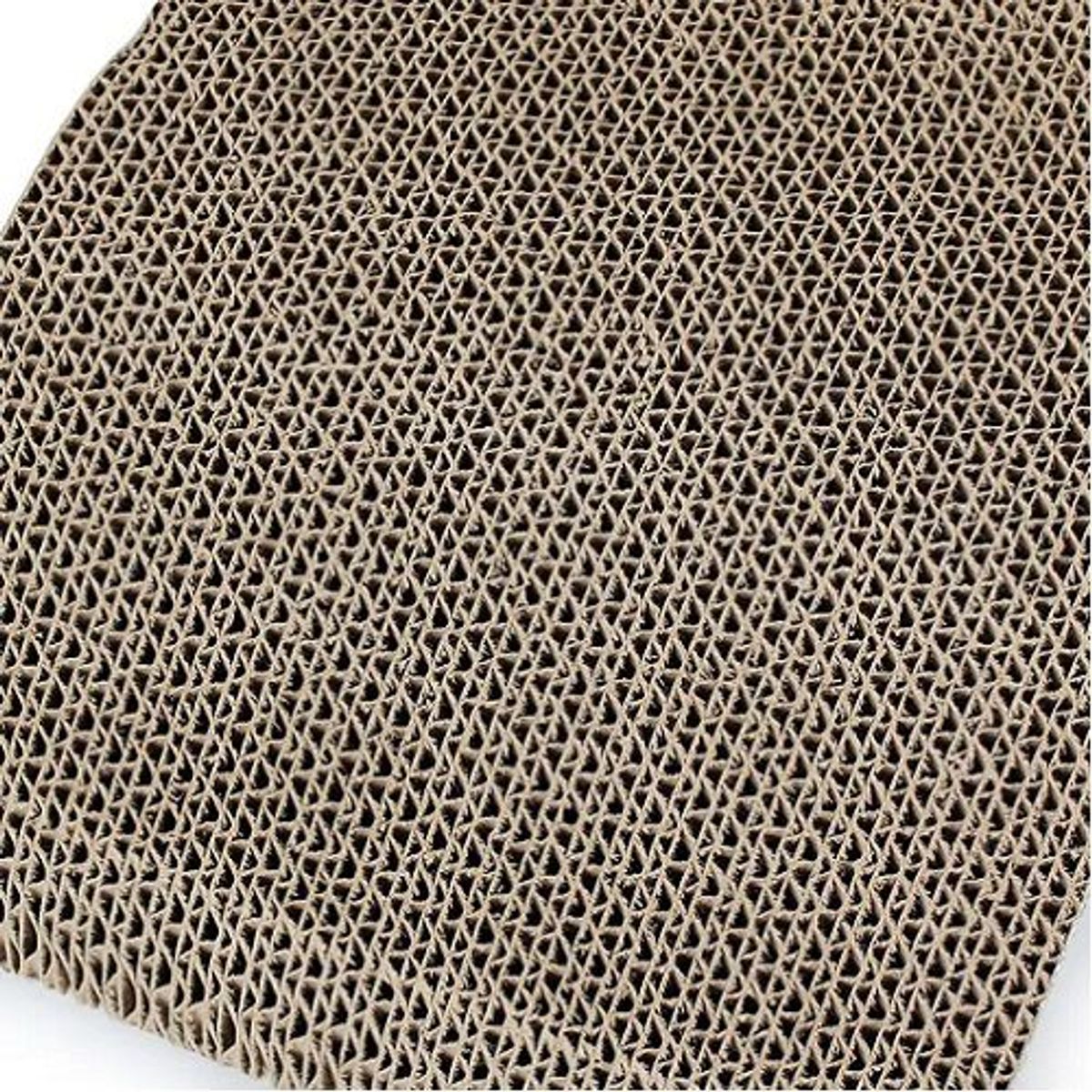 GENERICO - RASCADOR PLANO PARA GATO JUGUETE