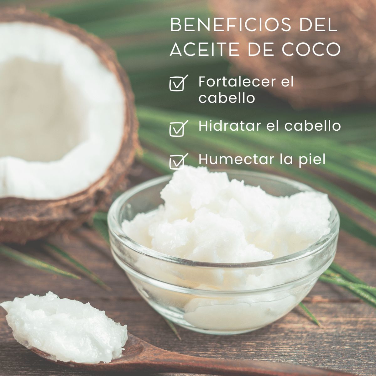 DINOA - Aceite de Coco 120ml Taski