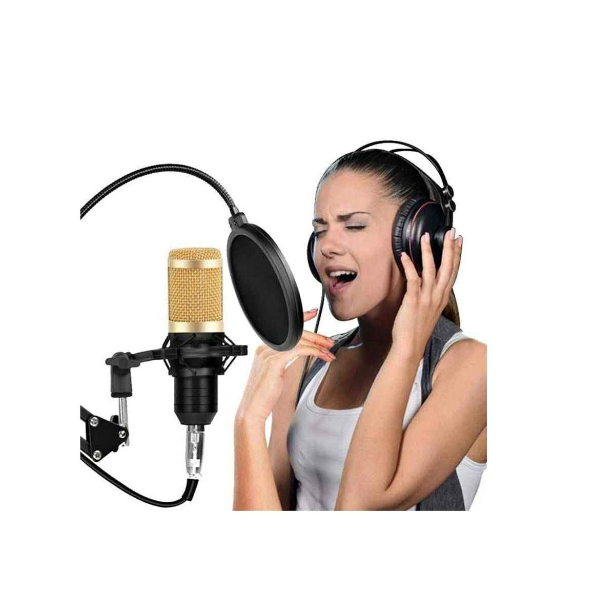 SEISA - Micrófono Condensador Profesional BM838TZ Usb