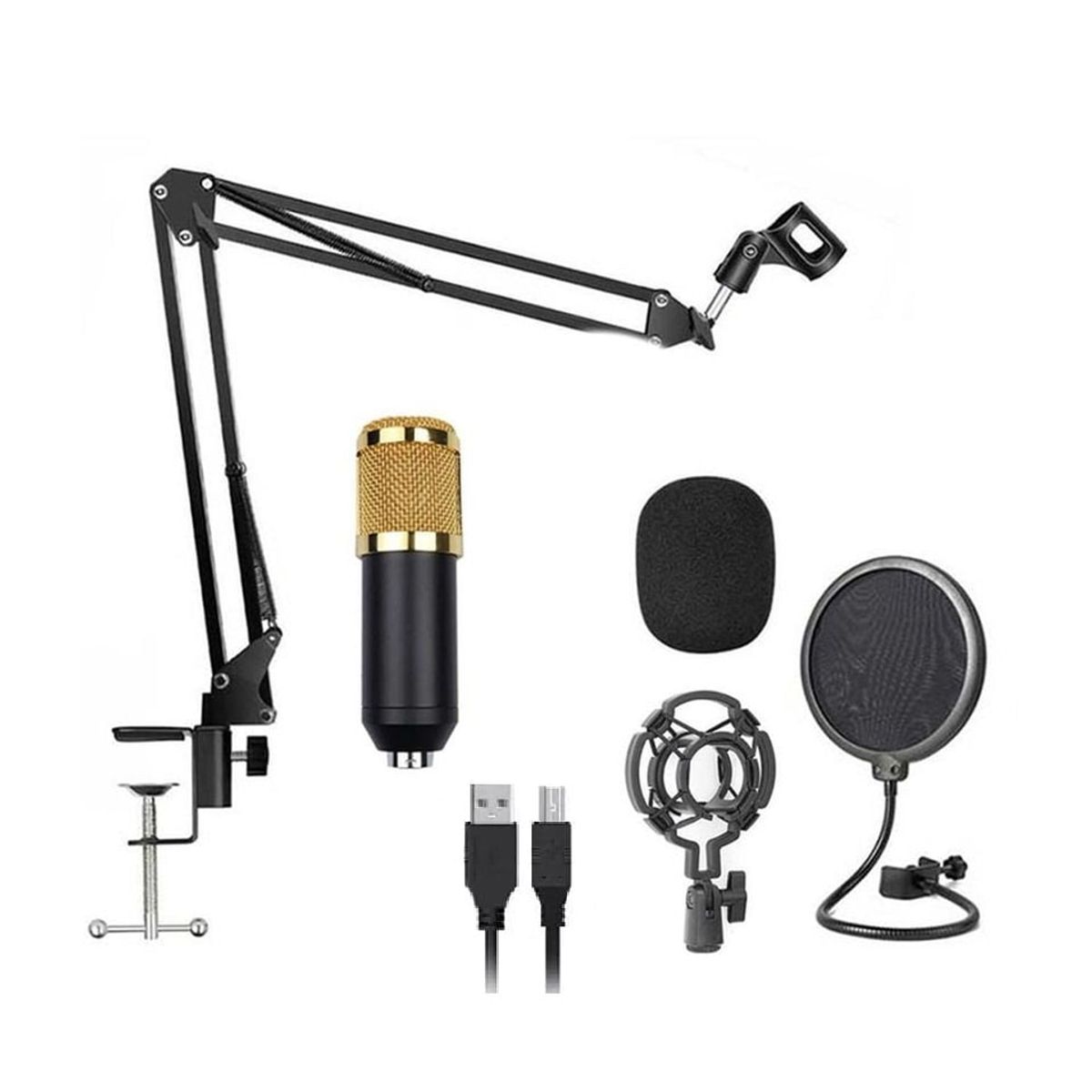 SEISA - Micrófono Condensador Profesional BM838TZ Usb