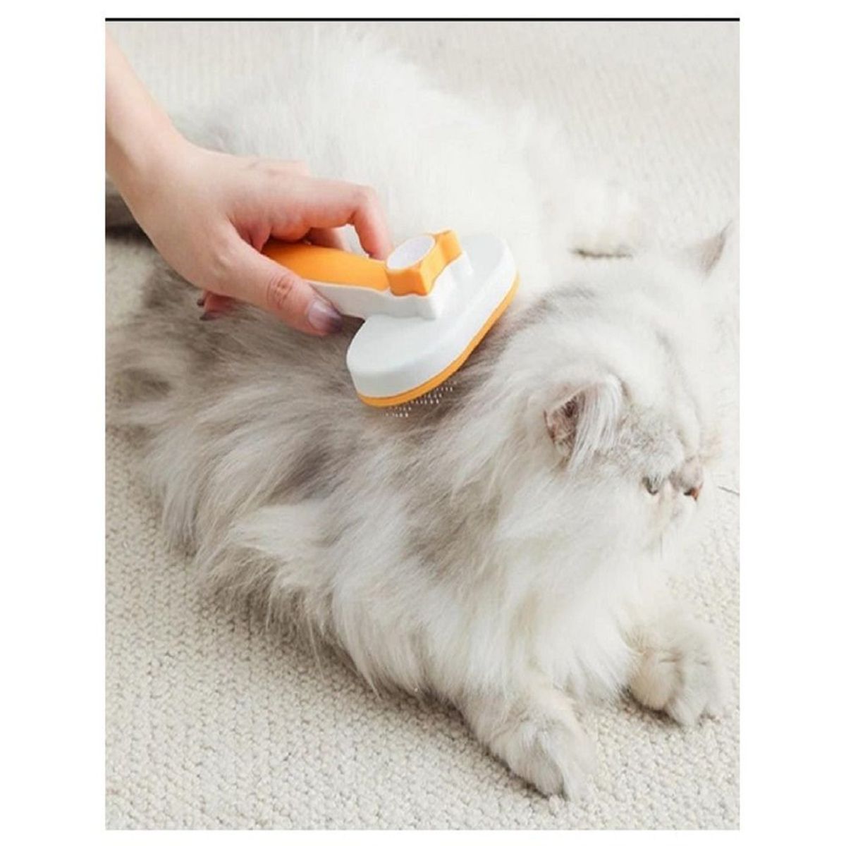 GENERICO - Peine Cepillo Para Mascotas Boton Eliminador de Pelo Muerto