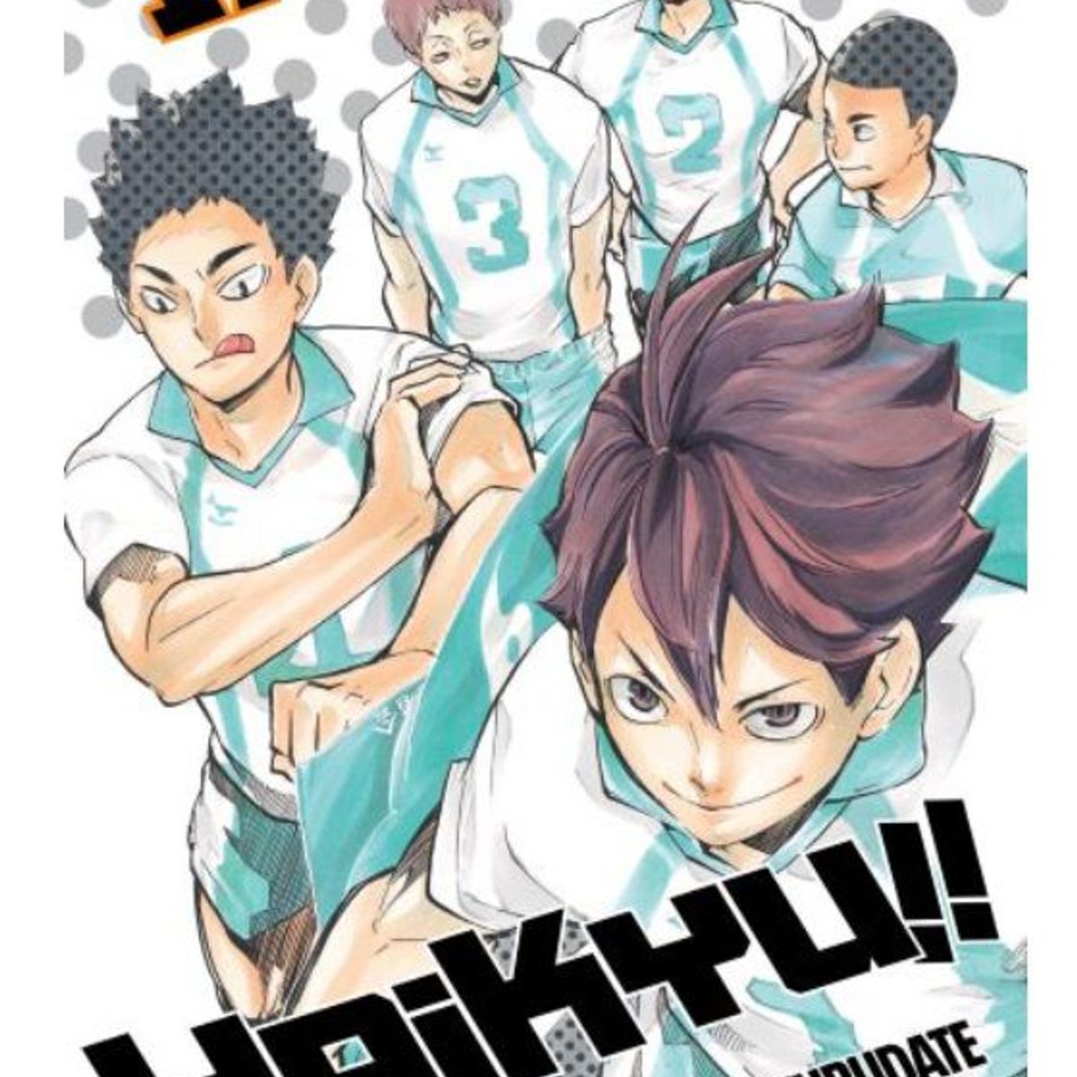 IVREA - Manga Haikyu Tomo 17