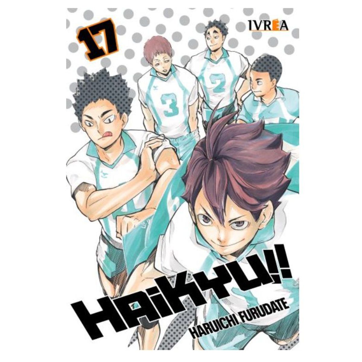 IVREA - Manga Haikyu Tomo 17