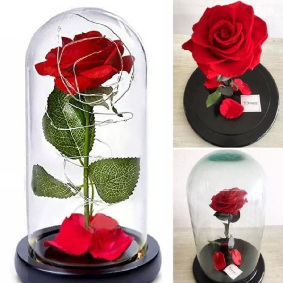 GENERICO - Rosa Eterna hermoso regalo para esa persona especial