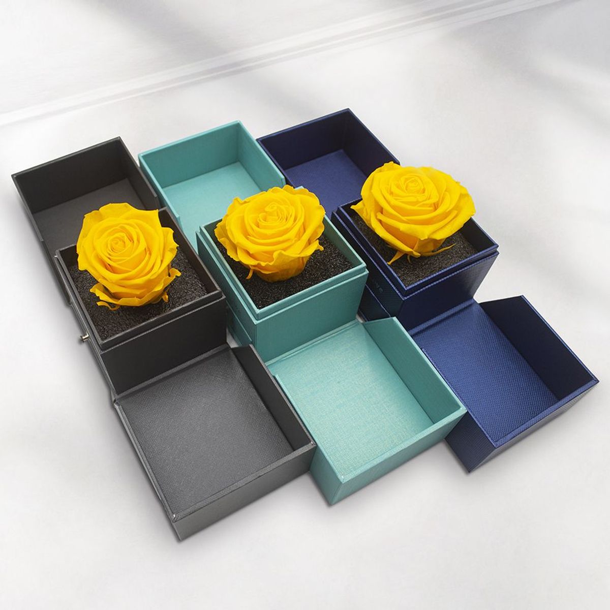 AIROSA - Rosa Eterna Preservada - Color amarillo - Joyero