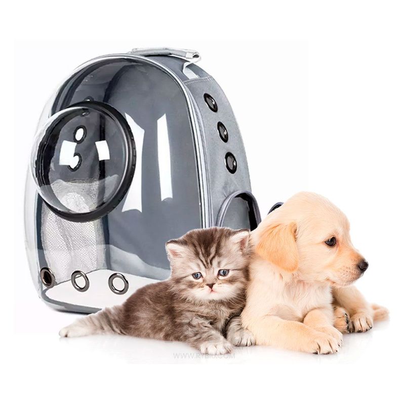 GENERICO - Cartera Plastico para Gatos con Malla Plomo.