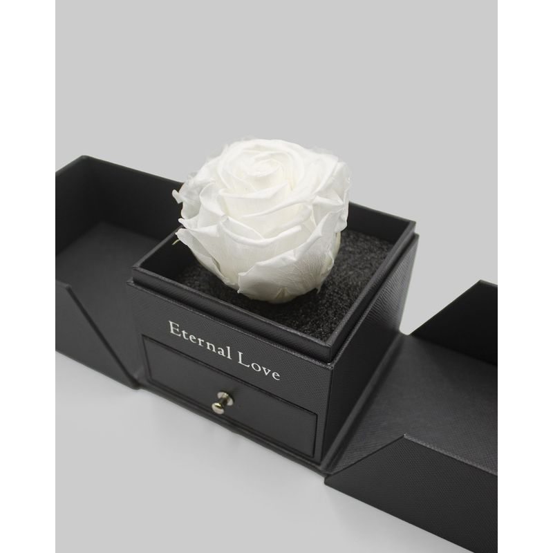 AIROSA - Rosa Eterna Preservada - Color blanco - Joyero