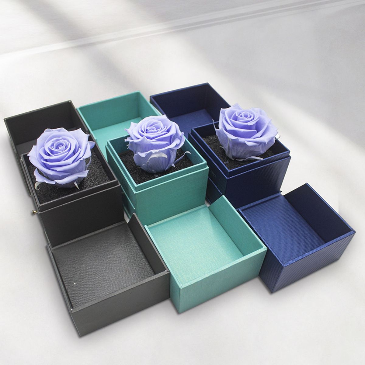 AIROSA - ROSAS PRESERVADAS - AIROSA  Rosa eterna preservada color lavanda