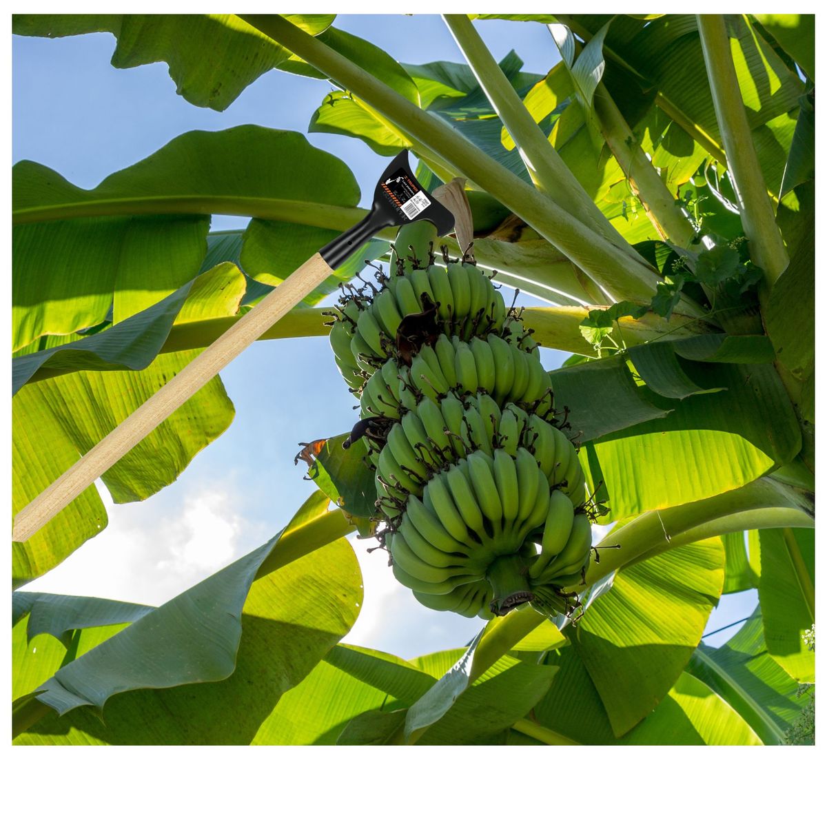TRUPER - Cortador de plátano podador Truper