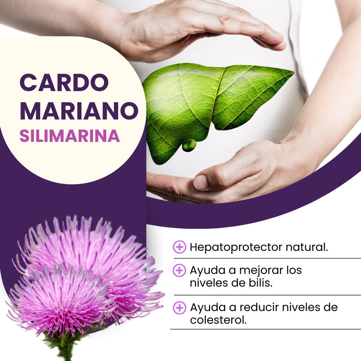 DINOA - Cardo Mariano cápsulas x 100 Dinoa - Depuración y Salud hepática