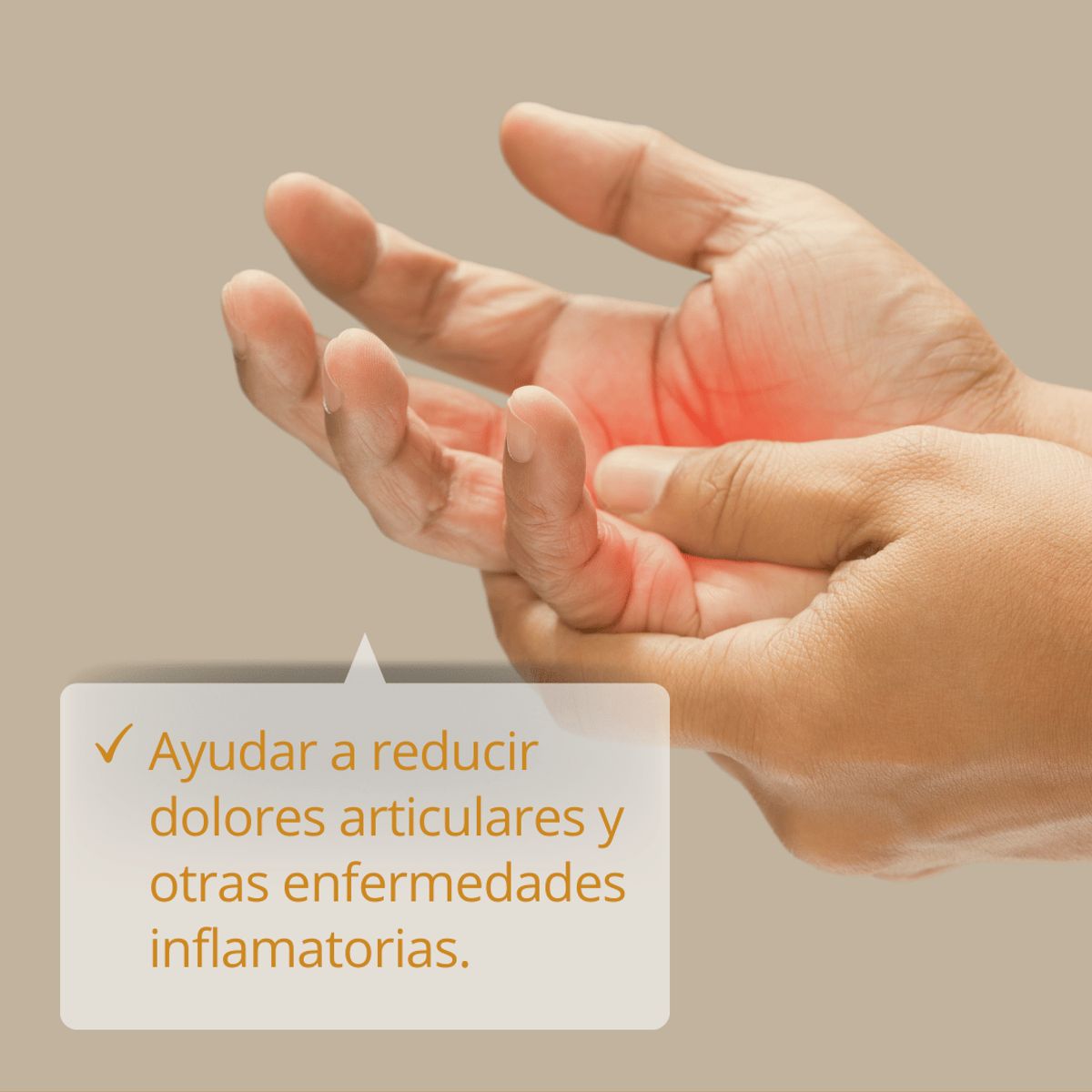 DINOA - Té Cúrcuma Polvo 80gr Taski