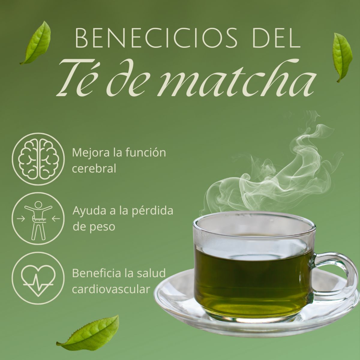 DINOA - Té Matcha Polvo 80gr Taski