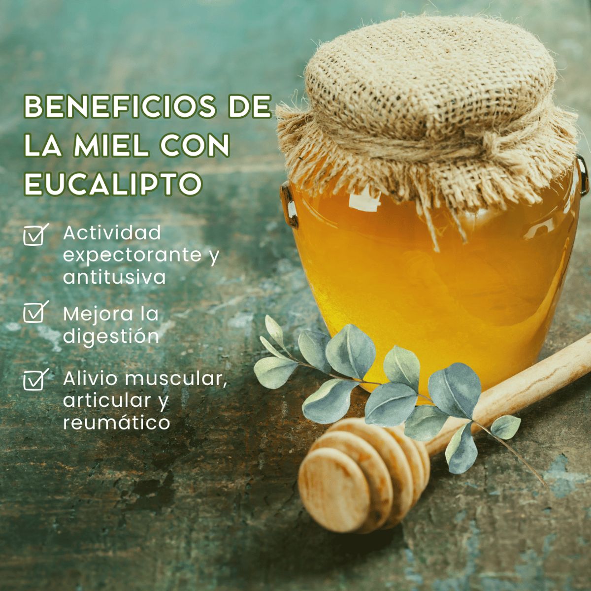 DINOA - Miel Eucalipto 1000gr Taski