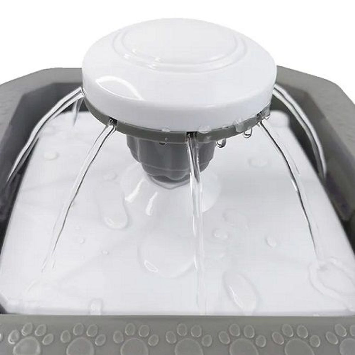 GENERICO - Fuente De Agua Bebedero Automatico para mascota Huellita