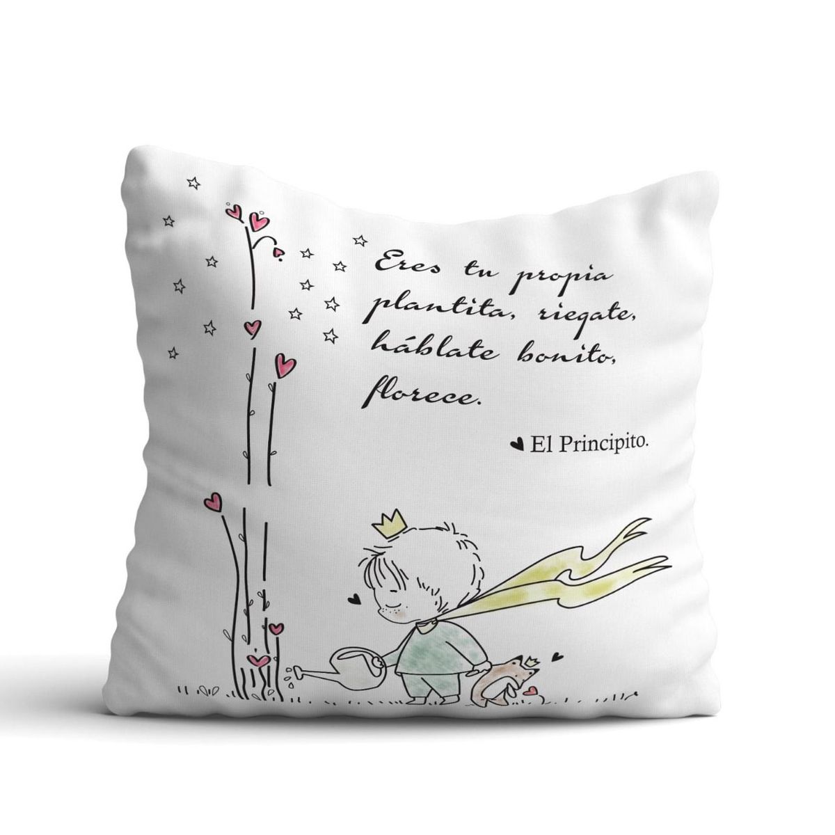 GENERICO - Cojin El Principito.