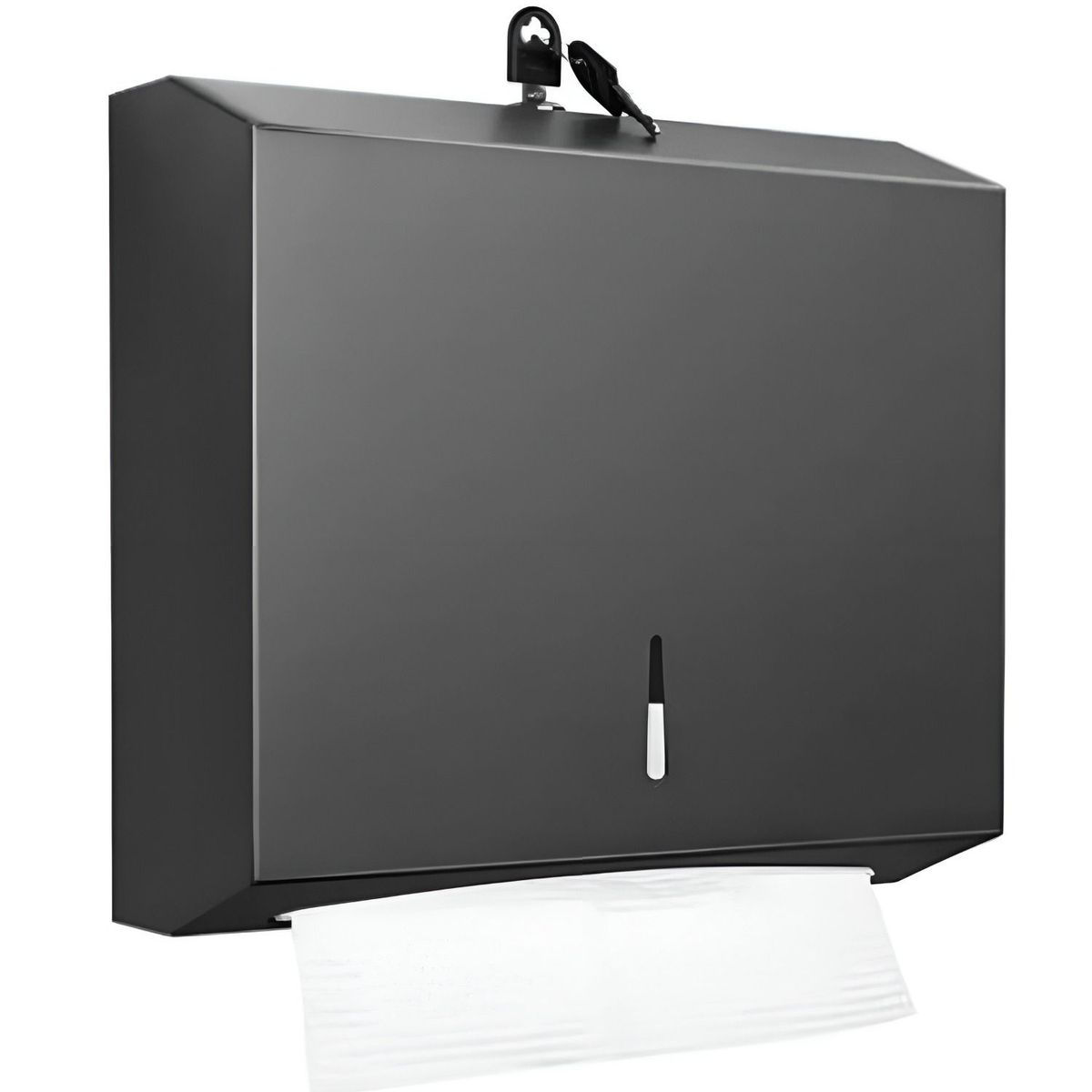 GREEN HOUSE - Dispensador de Papel Higiénico Acero Inoxidable negro